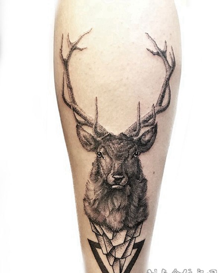 自然界的生灵，腿部好看的鹿头点刺纹身