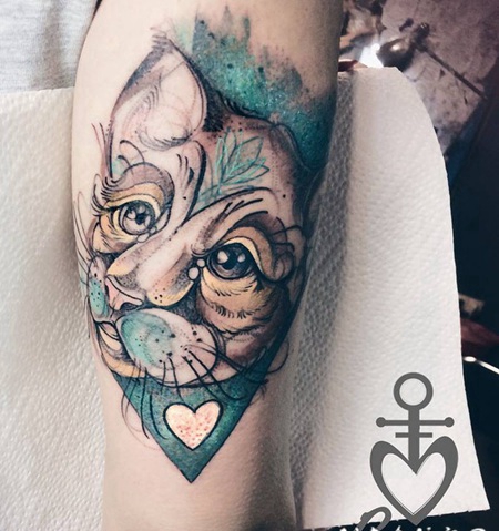 素描风格彩色美丽的猫与心形手臂纹身图案