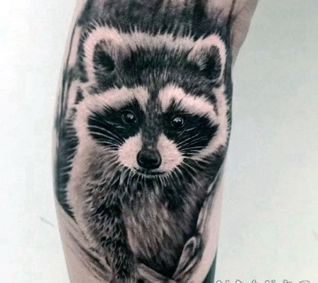 写实风格的可爱浣熊手臂纹身图案