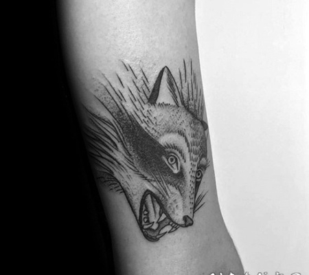 简单素描式邪恶狐狸头手臂纹身图案