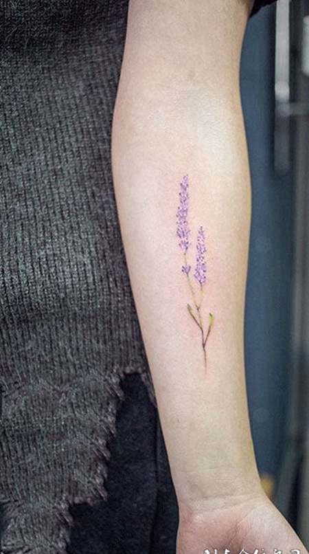 等待爱情，手臂薰衣草纹身图案