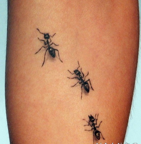 简单逼真的黑色蚂蚁手臂纹身图案
