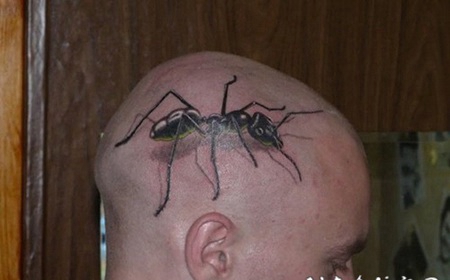 头部上的大蚂蚁黑色纹身图案