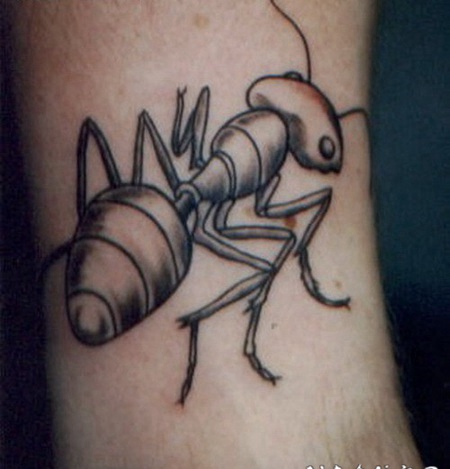 可爱的灰色蚂蚁小腿纹身图案