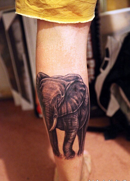 漂亮的黑白写实大象小腿纹身图案