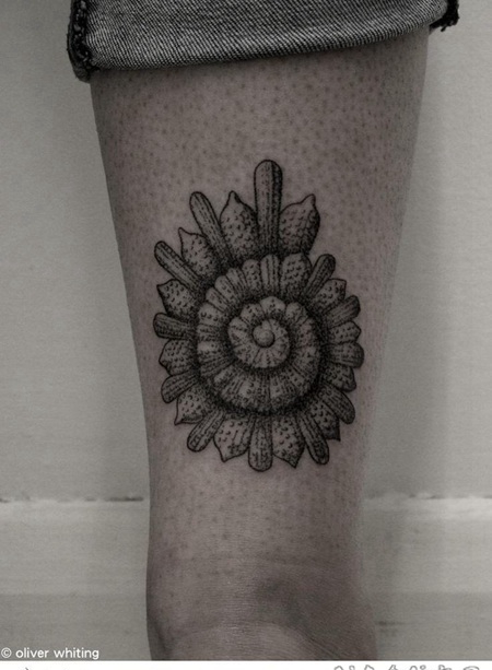 脚踝上印象深刻的点刺海螺纹身图案