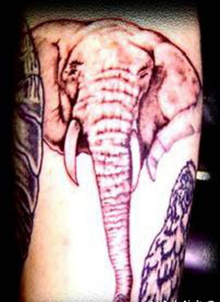 逼真的大象头纹身图案