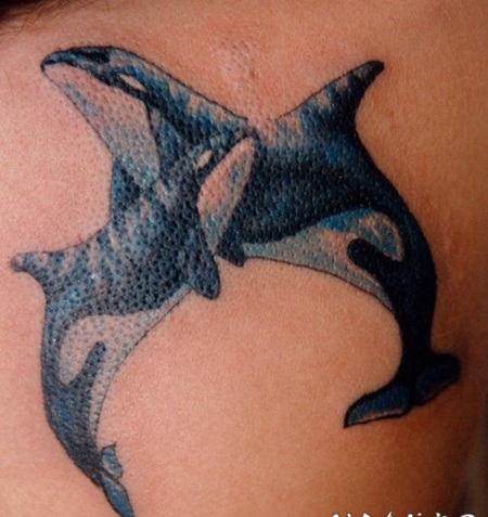 两个虎鲸精美纹身图案