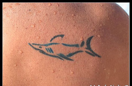 蓝色线条的小鲨鱼纹身图案