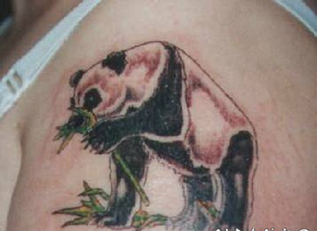 大熊猫和竹子彩色纹身图案