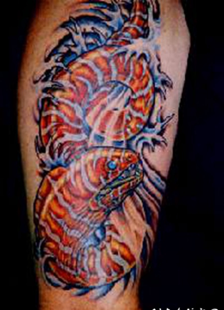 腿上的七彩海底动物纹身图案