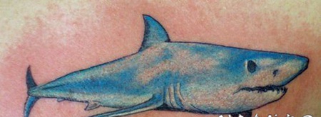 蓝色的鲨鱼个性纹身图案