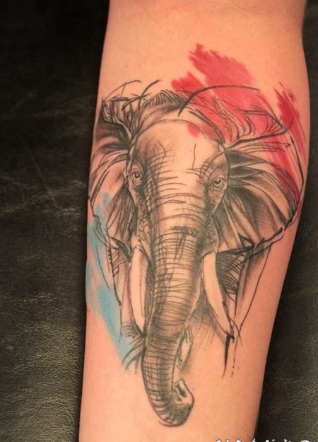 彩色素描风格大象头手臂纹身图案