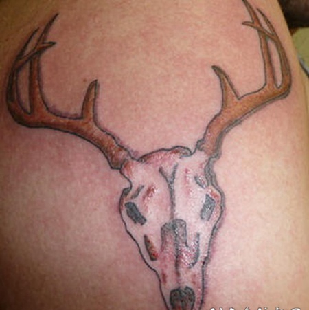 鹿头骨彩色纹身图案
