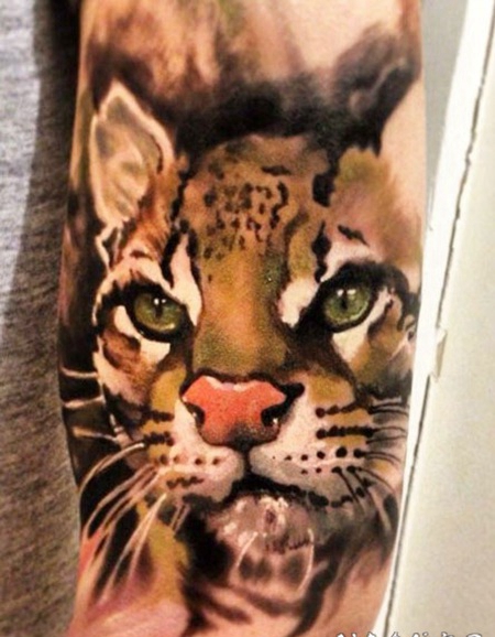 非常漂亮的彩色野猫手臂纹身图案