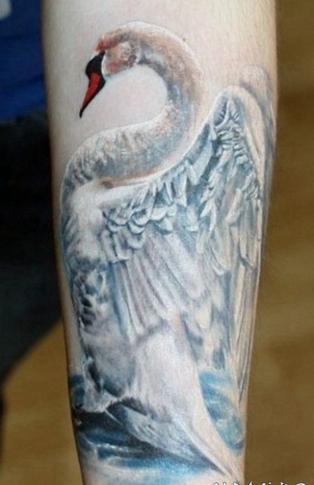 非常逼真可爱的白天鹅手臂纹身图案