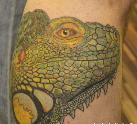 绿色的鬣蜥头写实纹身图案