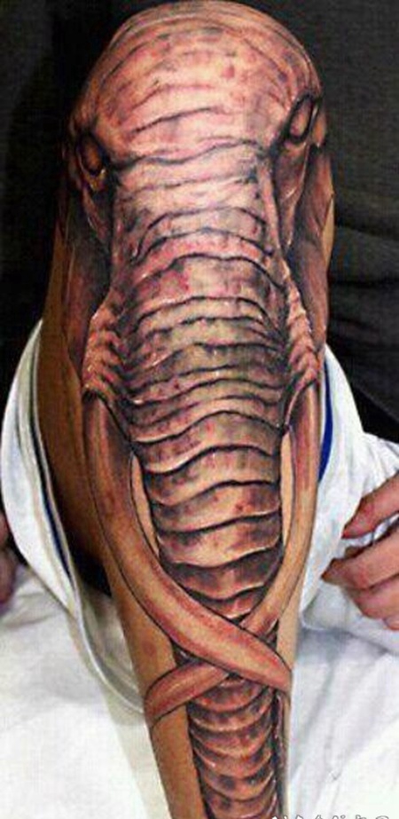 很酷的逼真的大象小腿纹身图案