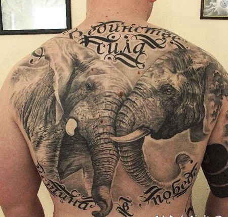 美丽的大象写实背部纹身图案