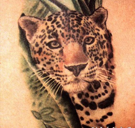 漂亮的彩色豹头纹身图案