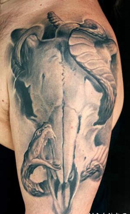 蛇和动物头骨手臂纹身图案