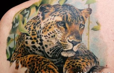 美丽的豹子彩绘背部纹身图案