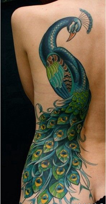 女孩背部鲜艳的彩色孔雀纹身图案