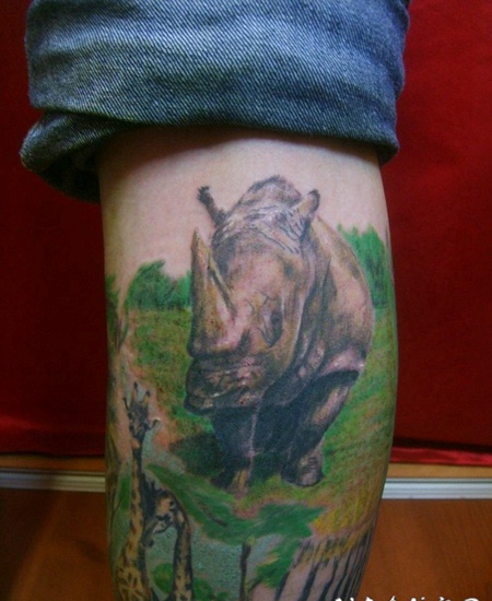 动物犀牛彩色小腿纹身图案
