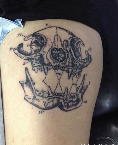 大腿科学风格黑白动物头骨纹身图案