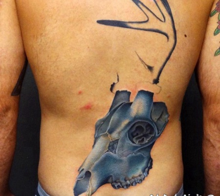 背部五彩的动物头骨纹身图案