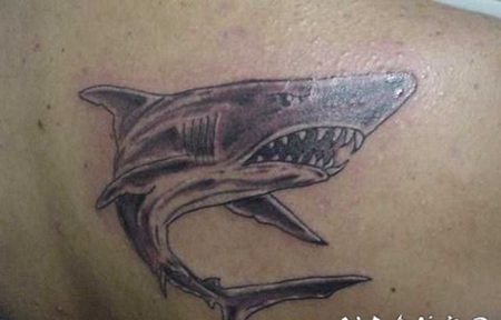 背部愤怒的鲨鱼纹身图案