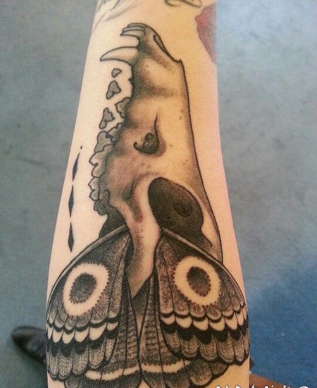 黑灰动物头骨与蝴蝶翅膀纹身图案
