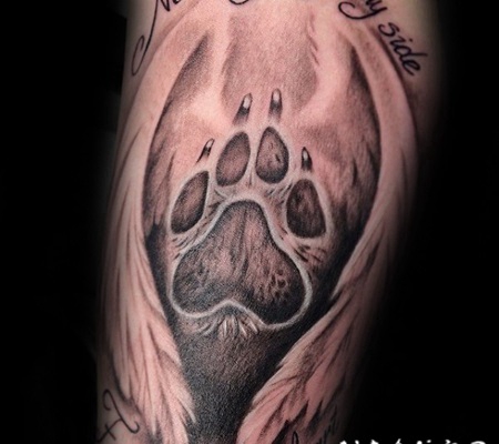 黑灰风格的翅膀和动物爪印纹身图案