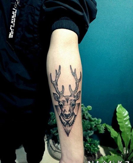 手臂上的鹿先生纹身图案