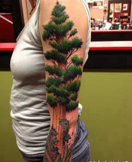 非常写实的彩色美洲大树手臂纹身图案