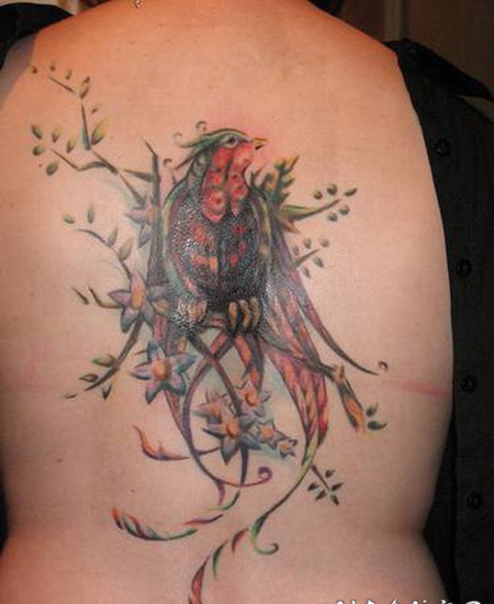 背部惊人的彩色小鸟艺术纹身图案