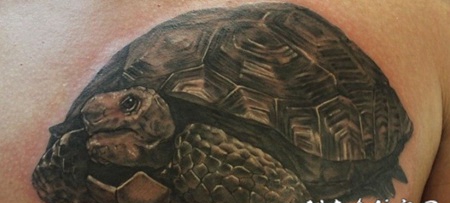 胸部逼真的可爱海龟纹身图案