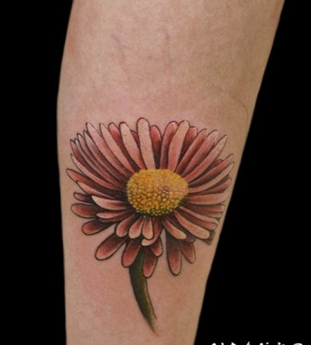 神奇的小雏菊手臂彩色纹身图案