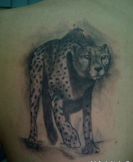 背部惊人的灰色猎豹纹身图案