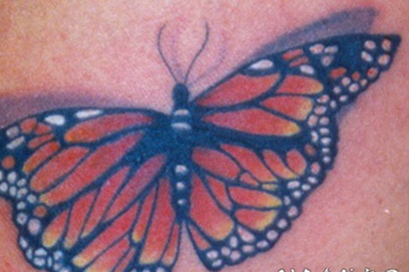 彩色的3D帝王蝶纹身图案