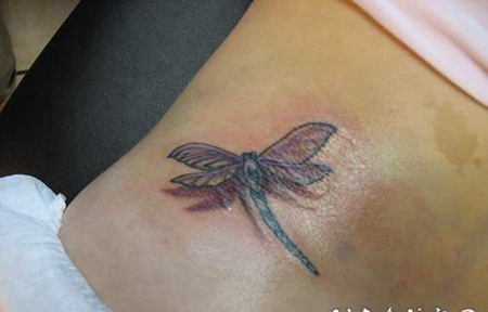 3D逼真的蜻蜓彩色纹身图案