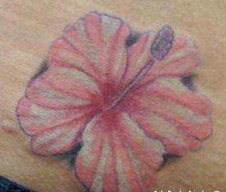 好看的3d粉色木槿花纹身图案