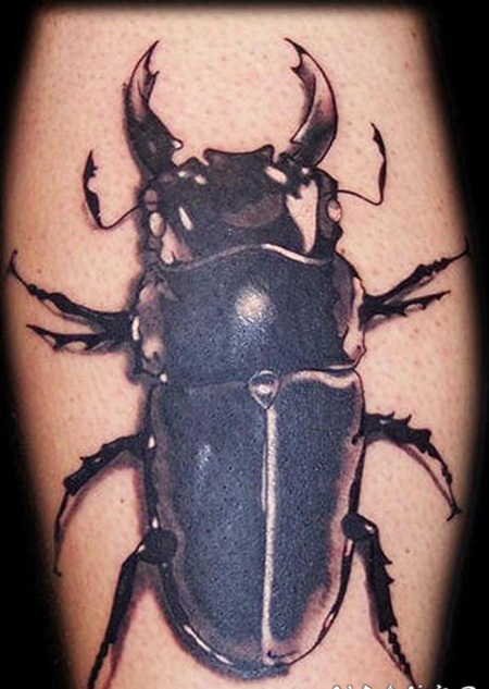 3d鹿角甲虫个性纹身图案