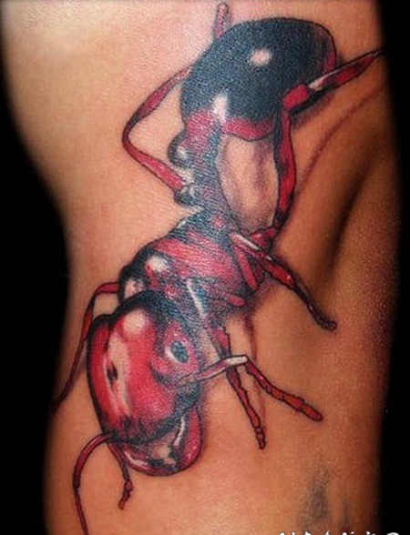 红色的3D蚂蚁纹身图案