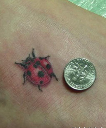 脚背小瓢虫3d彩色纹身图案