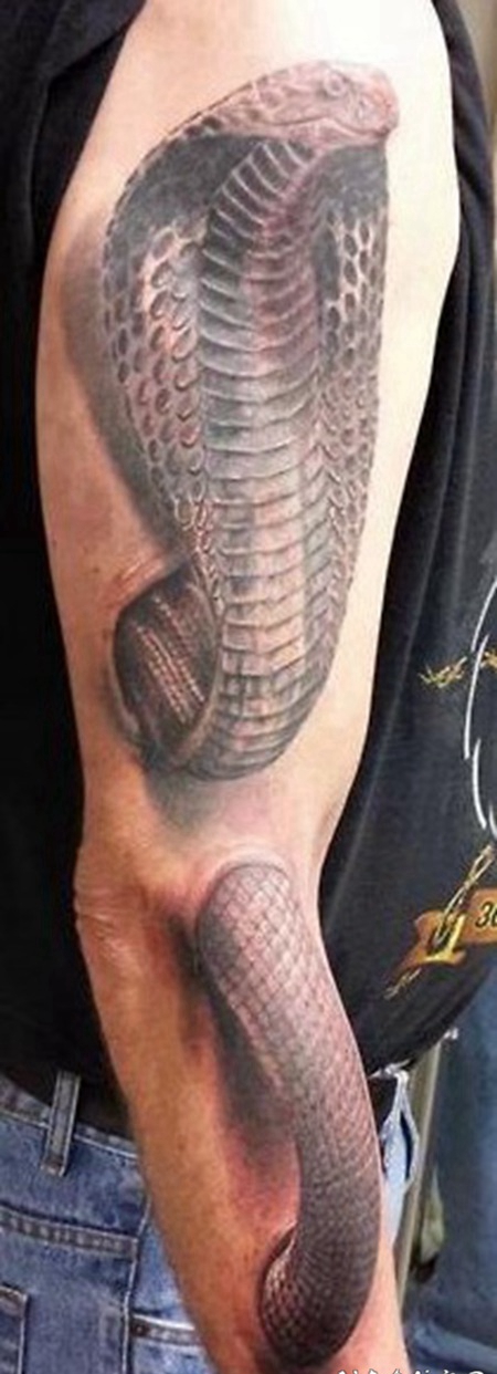 手臂3D眼镜蛇和撕皮彩绘纹身图案