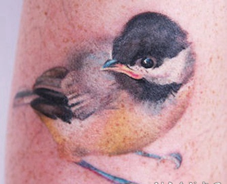 3d逼真的麻雀彩绘纹身图案