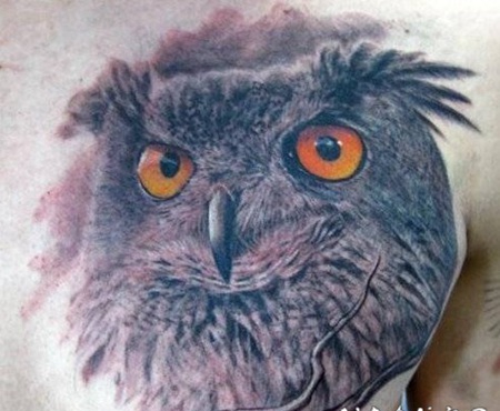 3D逼真的猫头鹰胸部纹身图案