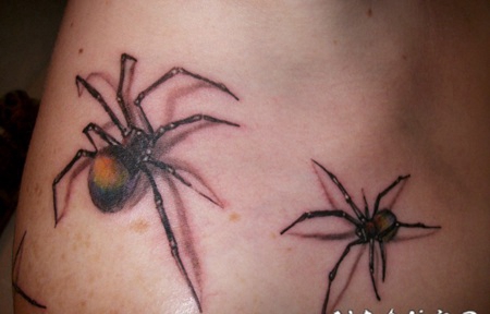 3D彩色的蜘蛛纹身图案