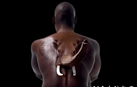 3D写实的创意大象满背纹身图案